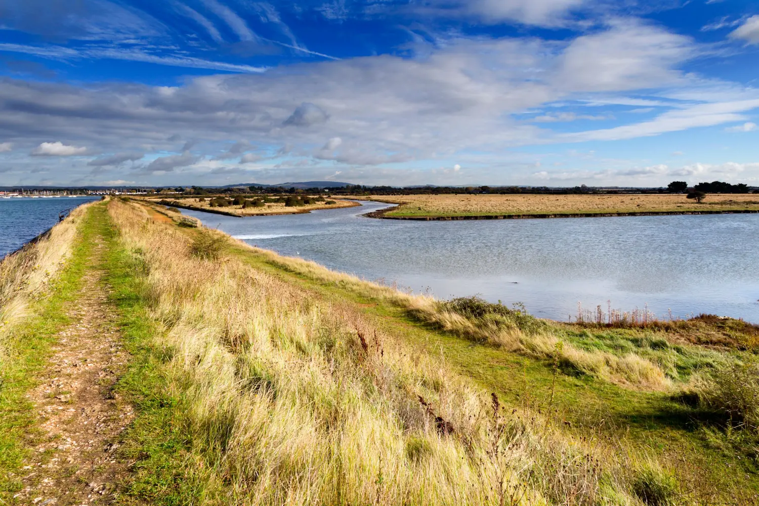 Country_Life_Thorney